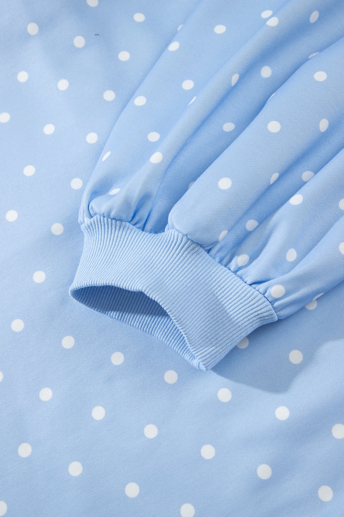 Sky Blue Polka Dot V Neck Metal Button Long Sleeve Shift Plus Size Sweatshirt